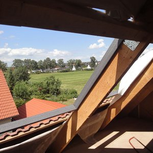 DSC00239